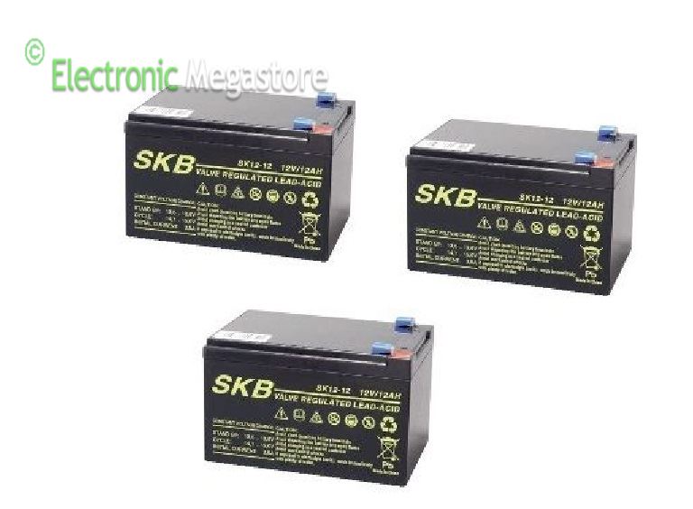 bicicletta elettrica frisbee euro 7 controllo batteria